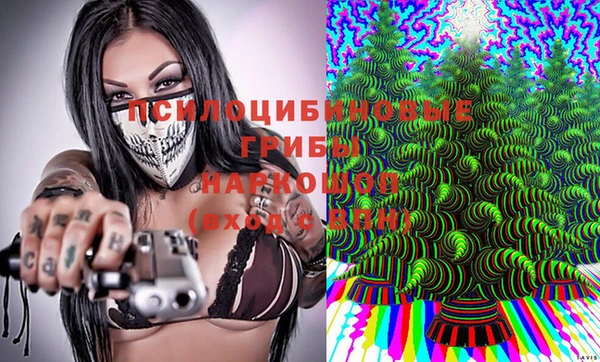 Альфа ПВП Вязьма